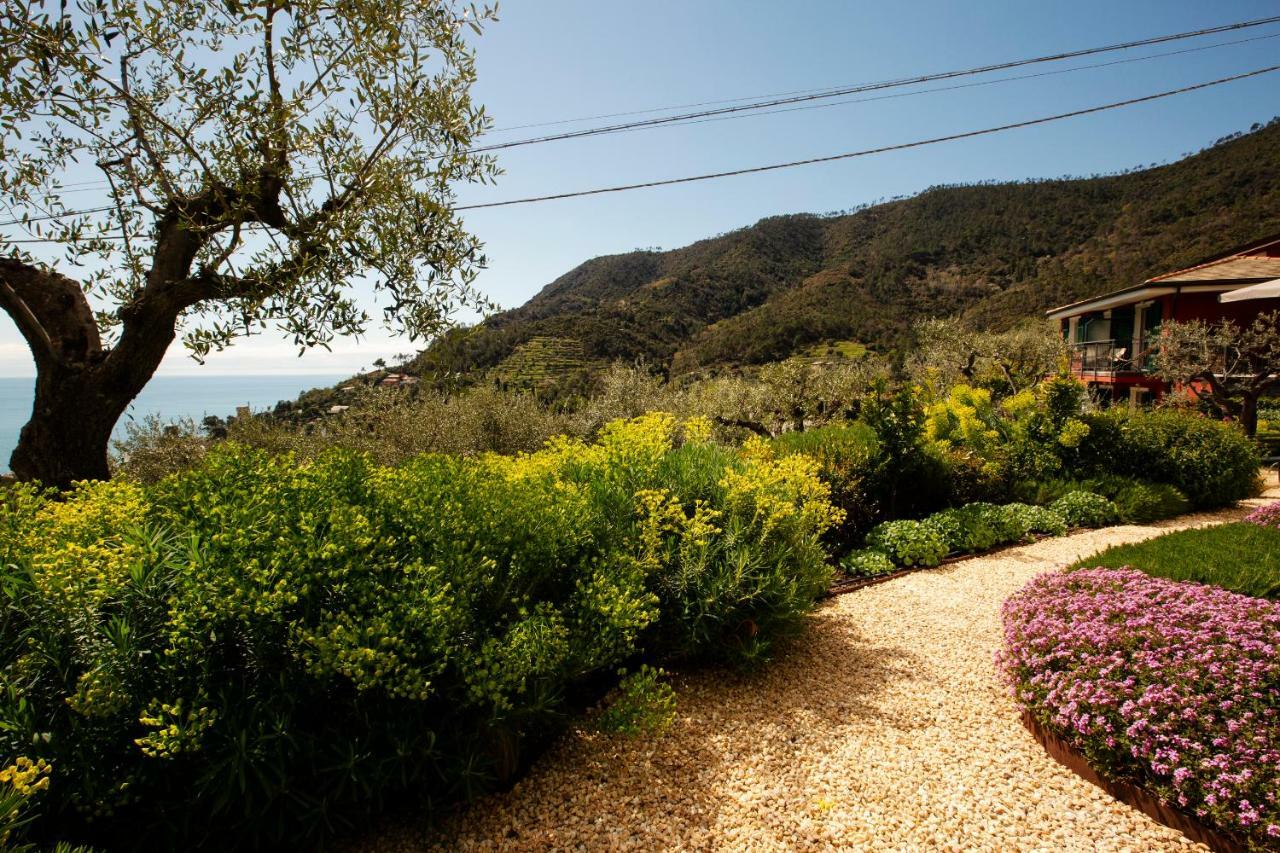 B&B Il Parco Monterosso al Mare Exterior photo